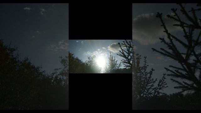 2024-12-09-123629484.mp4 Елена Дружиненко Воркута