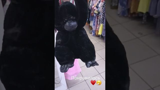 моя любовь к тебе обезьяна моя♥️🤧😂