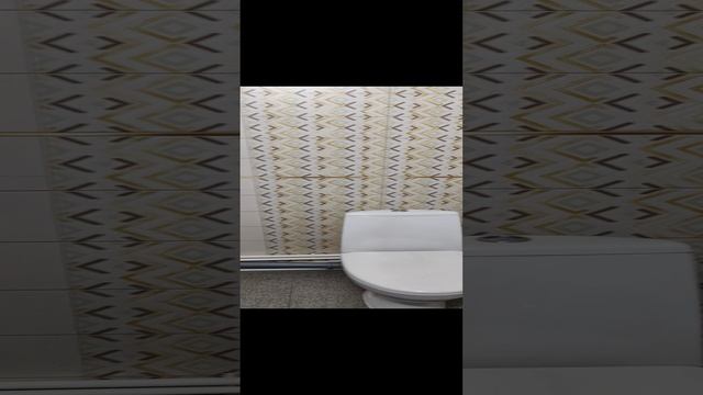 VID_20241208_204428.mp4