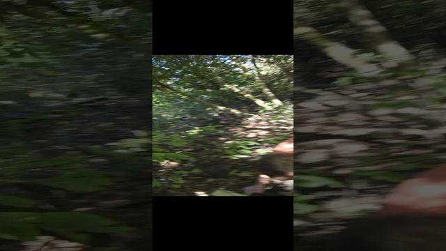 2 часть серии 1 сезона выживания на острове