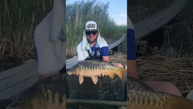 Кубок Самарской области 2022. Карпфишинг.