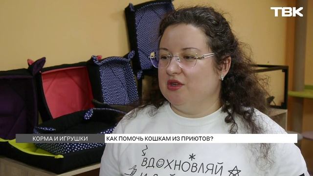 Красноярцы могут помочь приюту с кошками