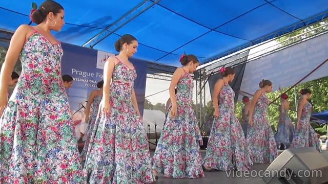 Flamenco 1 #upskirt#sexy#латиношоу#танец