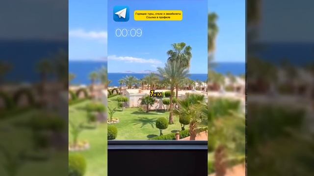 ДЕШЕВЫЙ ТУР В Шарм-эль-Шейх