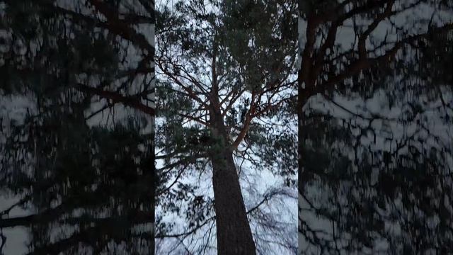 Жесткая спортивная площадка