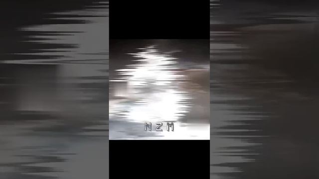 1000007252.mp4