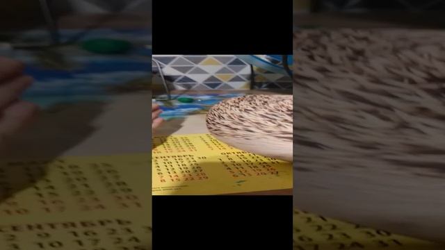 Срочная новость!!!ℹ️