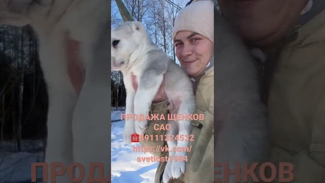 ПРОДАЖА ЩЕНКОВ САО