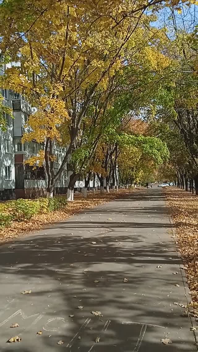 Золотая осень в городе🍁🍂