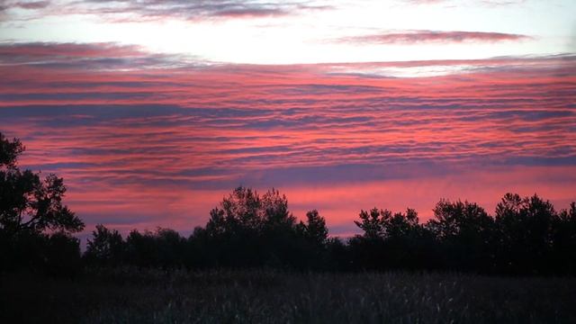 Duck Hunting South Dakota Duck Opener  2021 (WE LIMITED!)