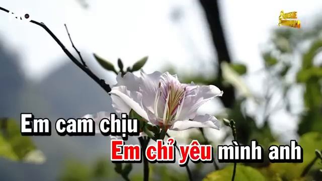 TÂM SỰ VỚI ANH  KARAOKE TONE NỮ
