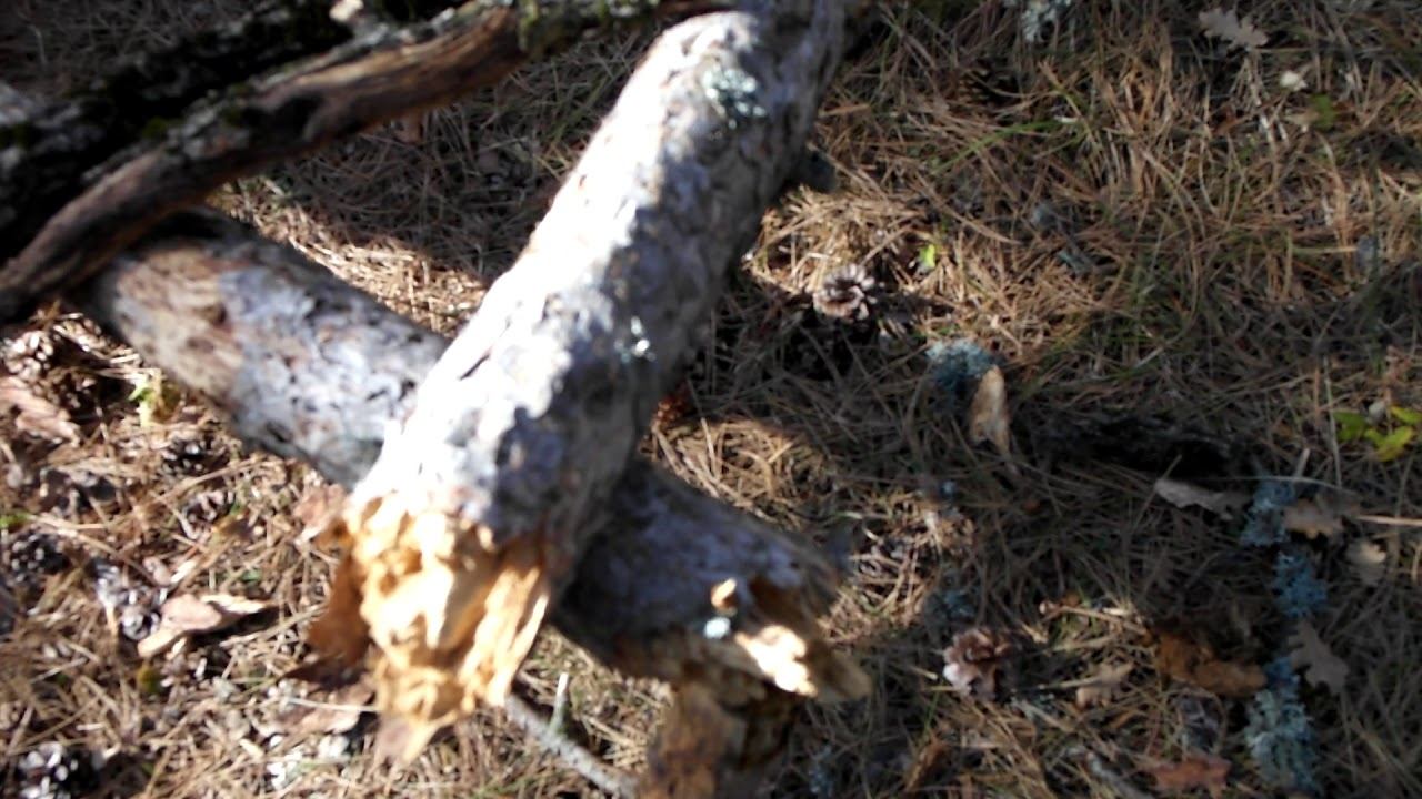 Следы деятельности  йети  , часть 1, #Крым ,#Ялта Traces of activity part 1 # Yeti, # Crimea, #Yalta