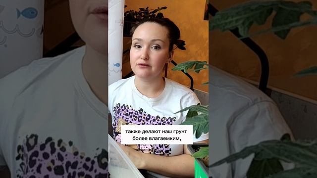 🌋 Разрыхлите свою жизнь: Секреты идеального грунта! 🌋