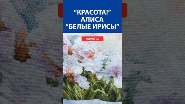 "Красота!" Вышивка крестиком. Алиса "Белые ирисы"