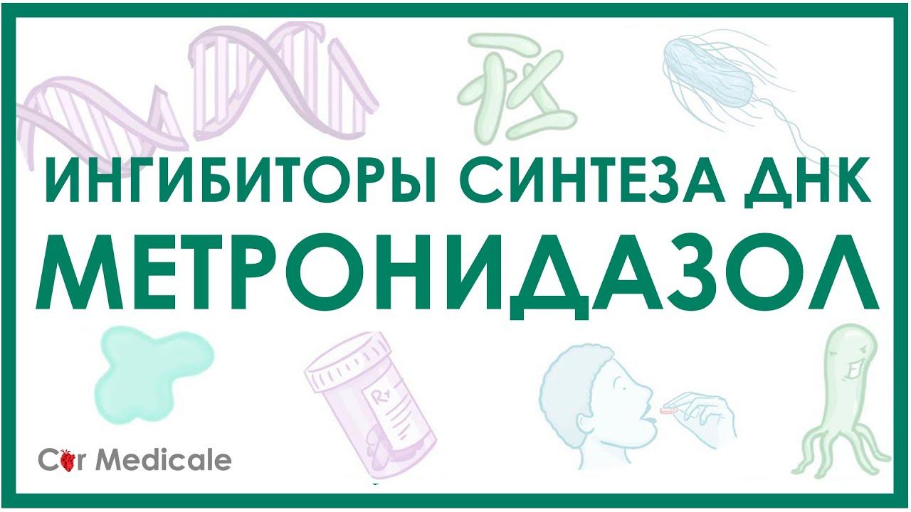 Метронидазол - ингибиторы синтеза ДНК - механизм действия, показания, противопоказания, побочка