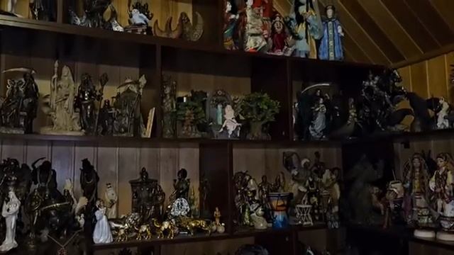 ПОМОЩЬ ВАШЕЙ КОШКИ...ДЛЯ ВСЕХ. ИНГА ХОСРОЕВА.