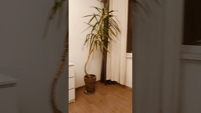 Однакомнатная квартира в музыкальном микрорайоне г. Краснодар