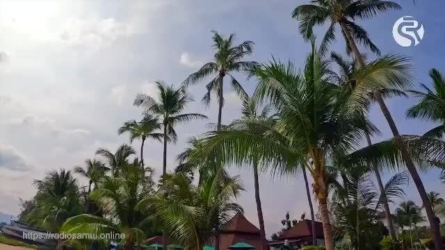 Radio Samui