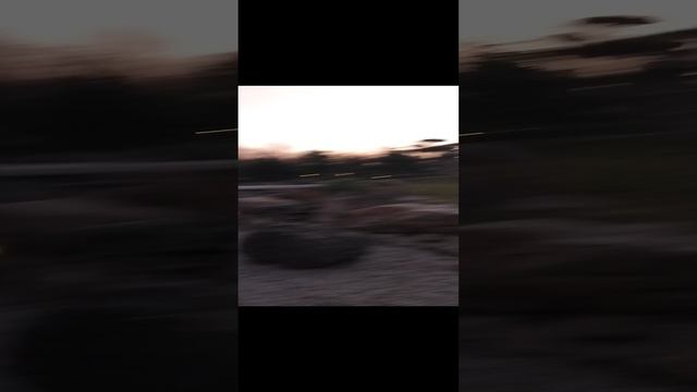 японский сад 2