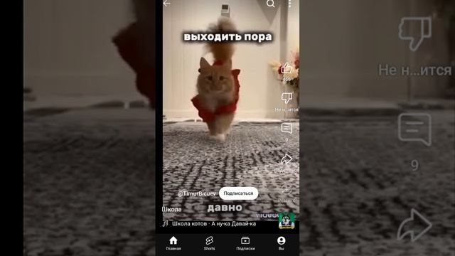 scene_output.mp4