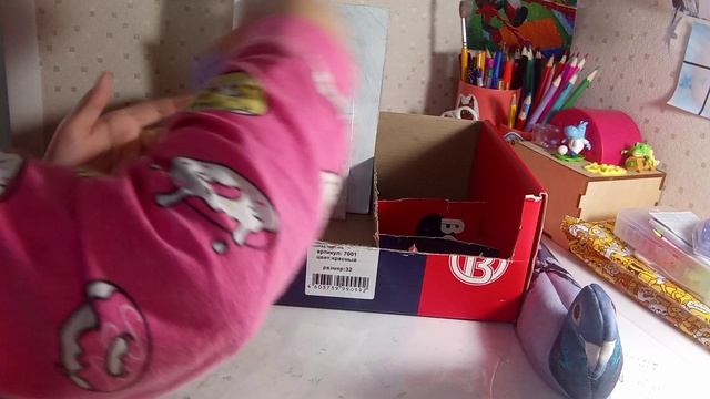 VID_20241207_131438.mp4