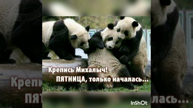 Павел Алещенко - По пятницам