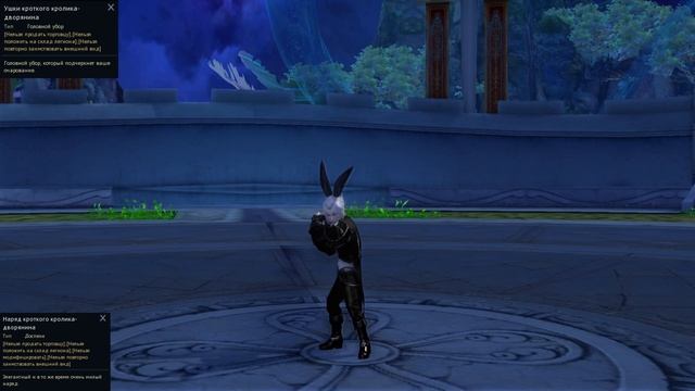 AionTheFistOfEternity - Комплект кроткого кролика-дворянина