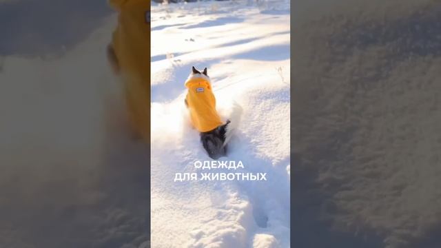 Главное отличие нашего магазина от любого другого…