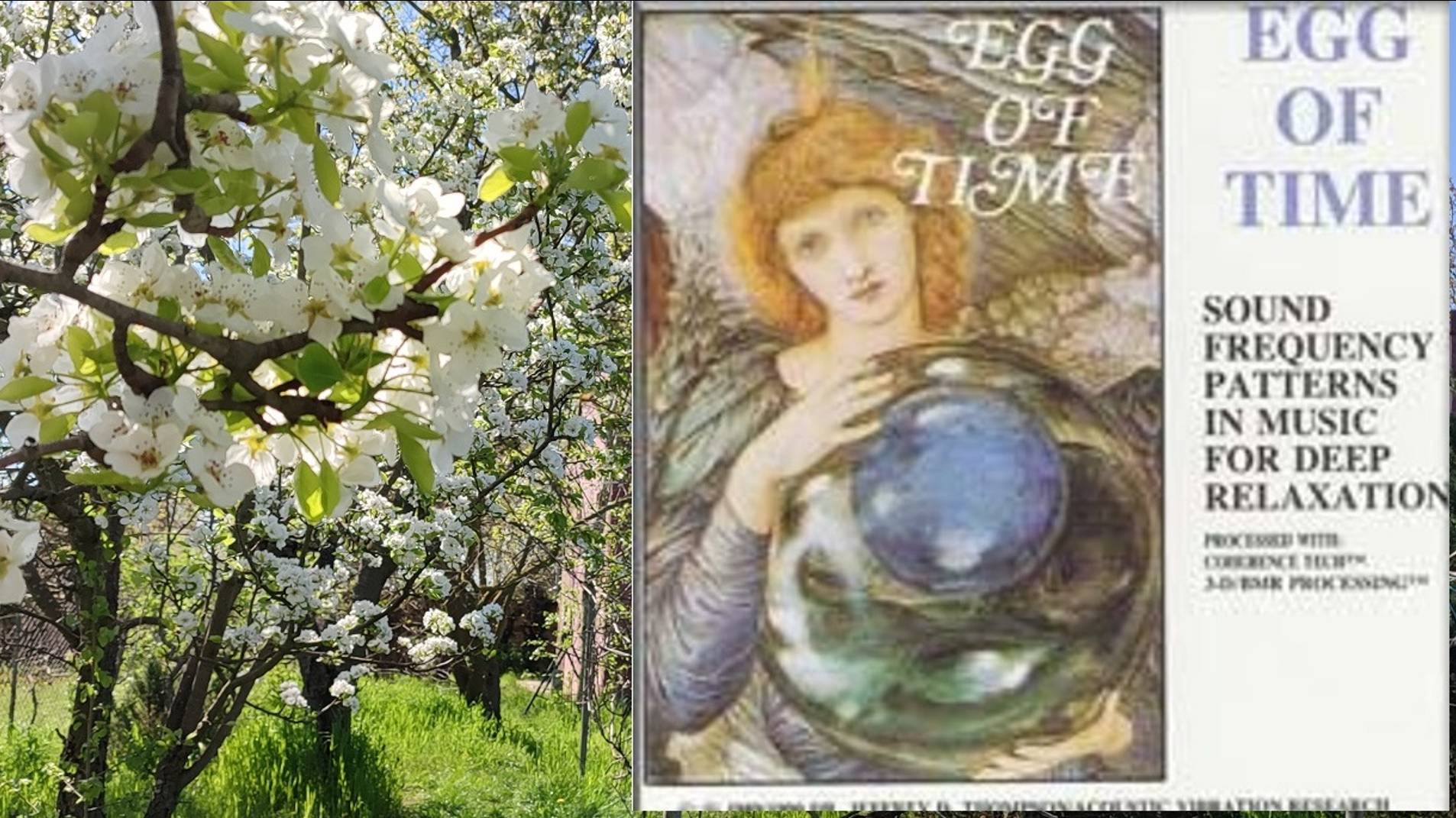Egg of time.