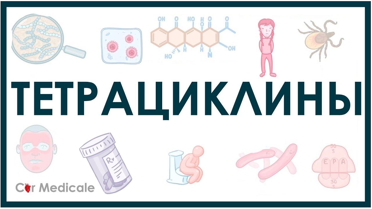 Тетрациклины - препараты, механизм действия, побочные эффекты (ингибиторы синтеза белка)