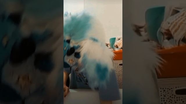 scene_output.mp4