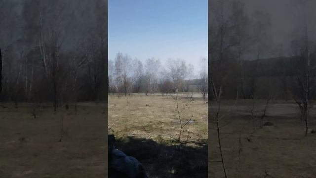 11 апреля 2024 г.
