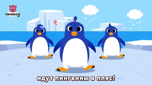 Танец  пингвинов.🐧