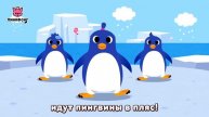 Танец пингвинов.🐧