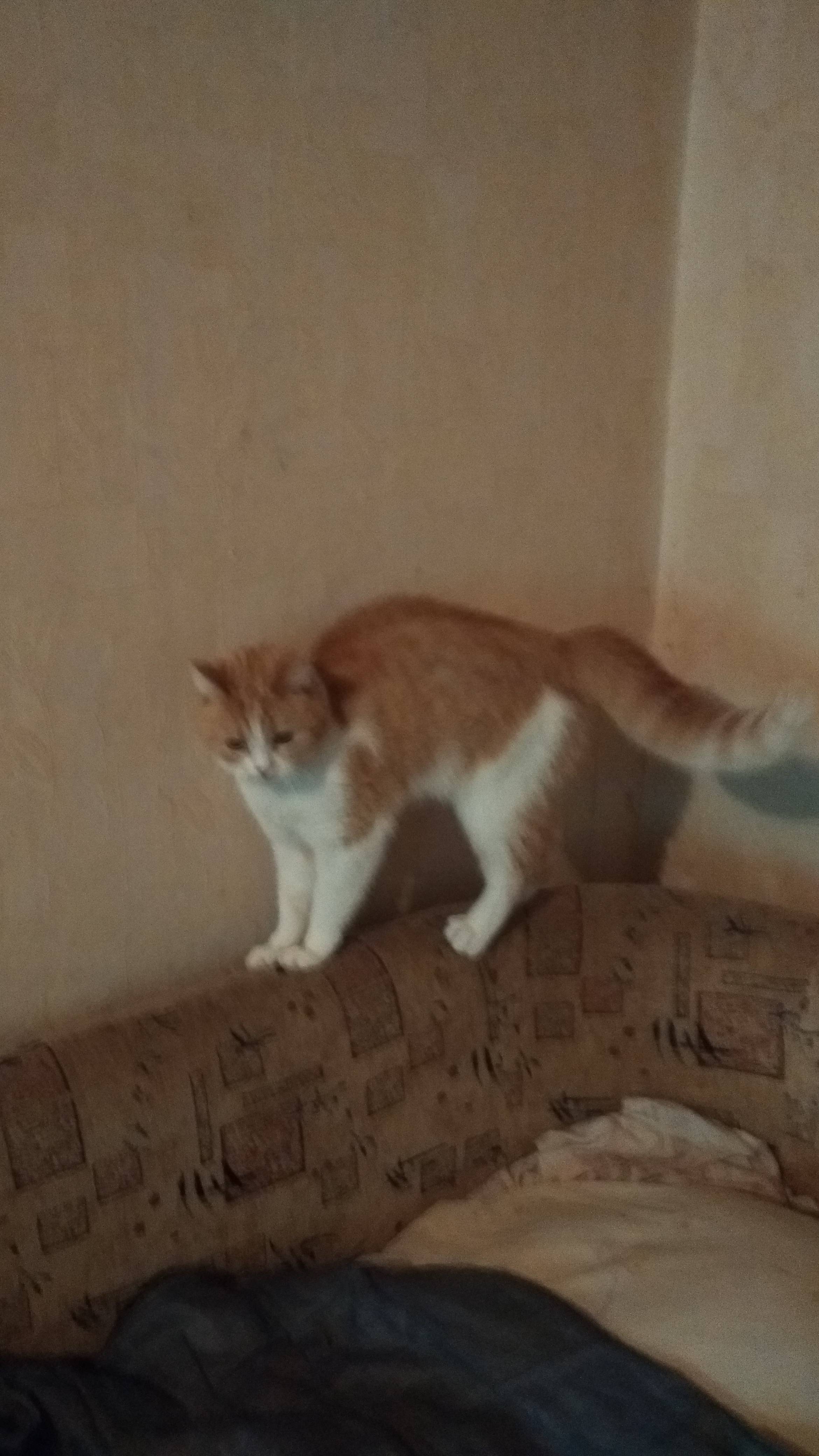 Здравствуйте, меня зовут Краб и я алкоголик... 😆 😆 😆