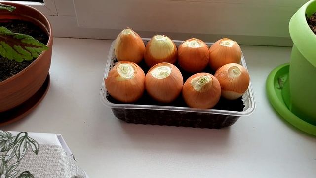 Выходной, но отдыхать некогда! Управляемся, готовлю обед, пеку хлеб, разделываю мясо!