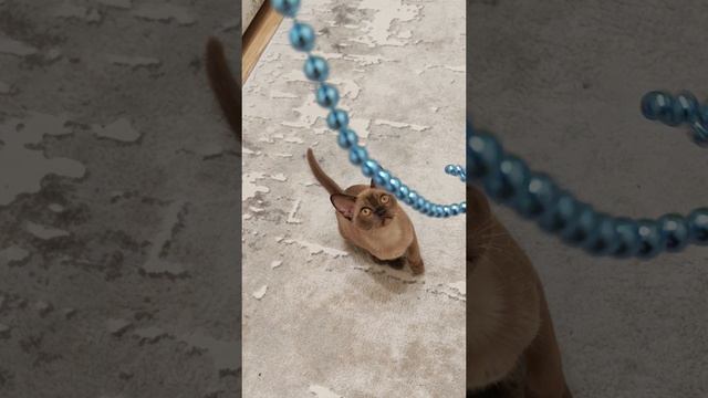 Скоро Новый год