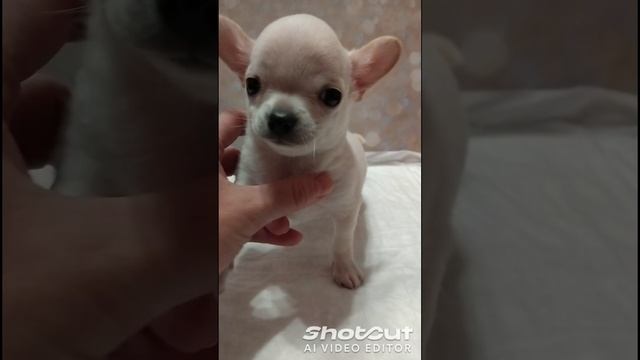 1000032570.mp4
