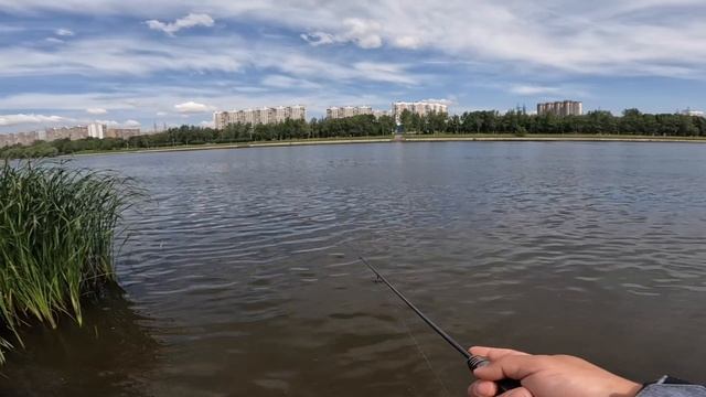 Ловля на Спиннинг Летом. Московские парки. Москва река. Рыбалка 2024. Ультралайт. Мормышинг