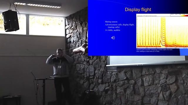 Social Calls of Bats Conference 2016 - Session 4