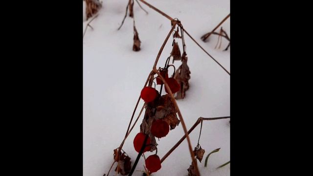 08-12-2024 " вечерняя зимняя прогулка на Красную гору и очень красивый закат"
