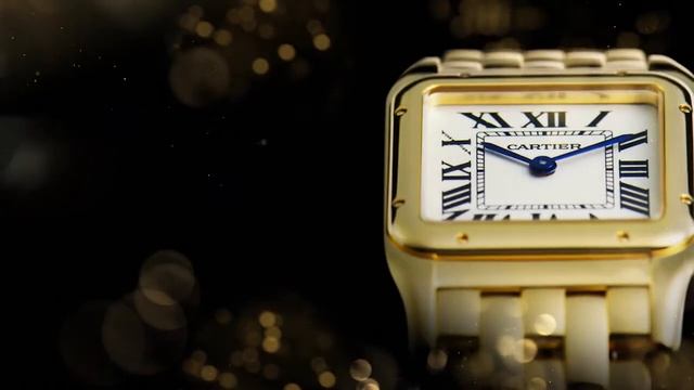 CARTIER PANTHERE