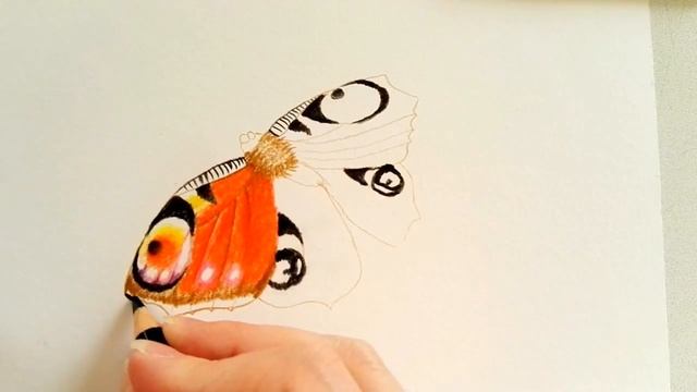 Schmetterling zeichnen 🦋 Tagpfauenauge 🦋 peacock butterfly drawing 🦋 как се рисува пеперуда 🦋