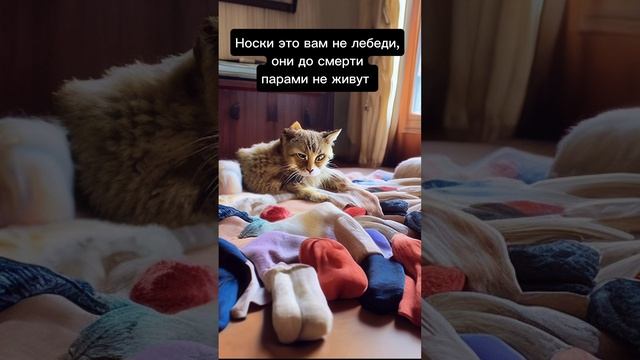 Носочки