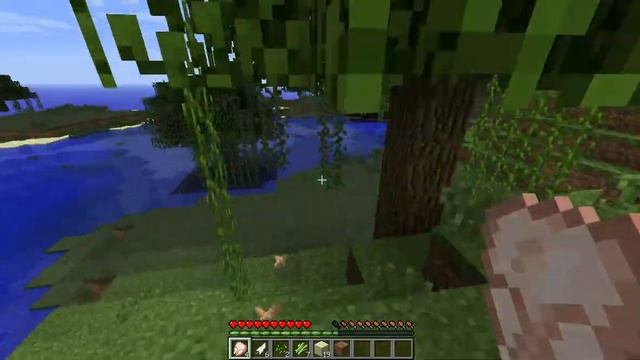 Выживание minecraft\ c BoteczQ