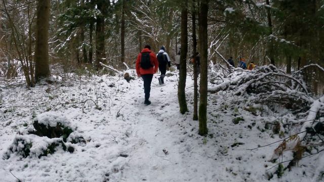 Пешая прогулка Дорога в Лавру ( Маршрут 20 км ) 1.12.2024