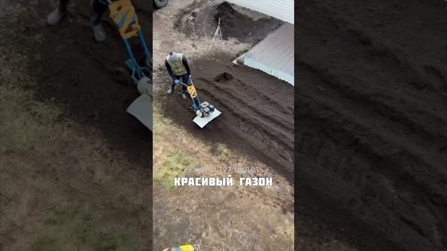 Когда лучше посеять газон? Идеи для дачи.