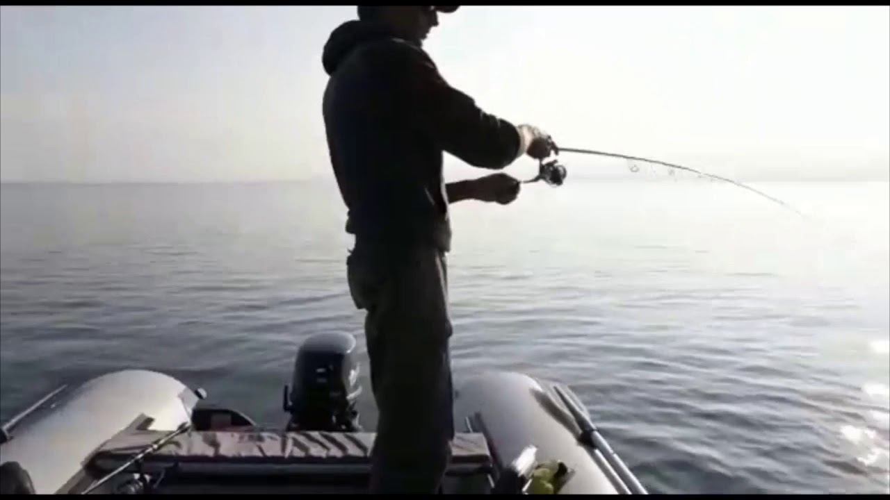 Хорошая щука на лайтовый спиннинг!