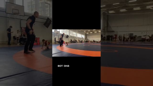 📍Полтавские львы 🦁 в Анапе🤼♂️