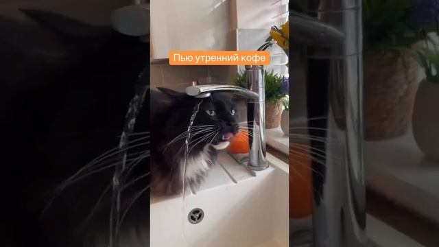 А как ваш рабочих день проходит..??